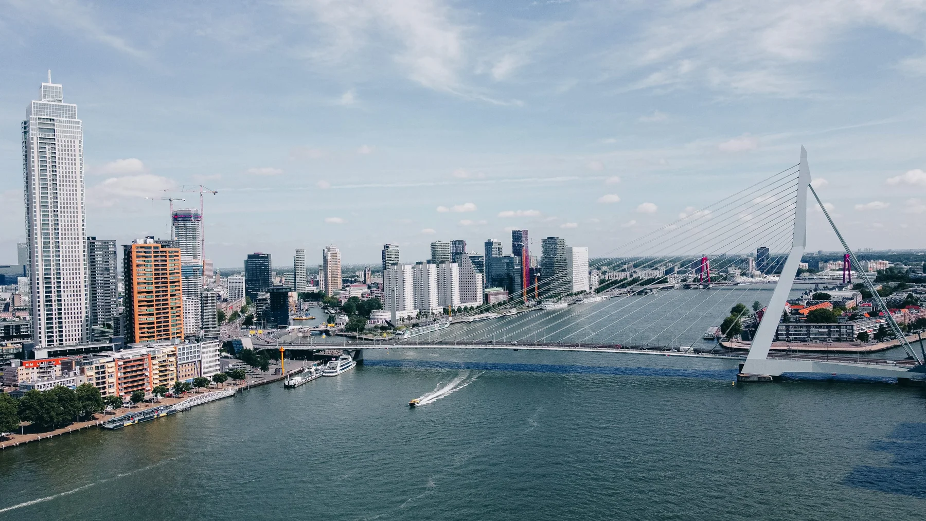 Erasmus Bridge and the Rotterdam riverfront skyline