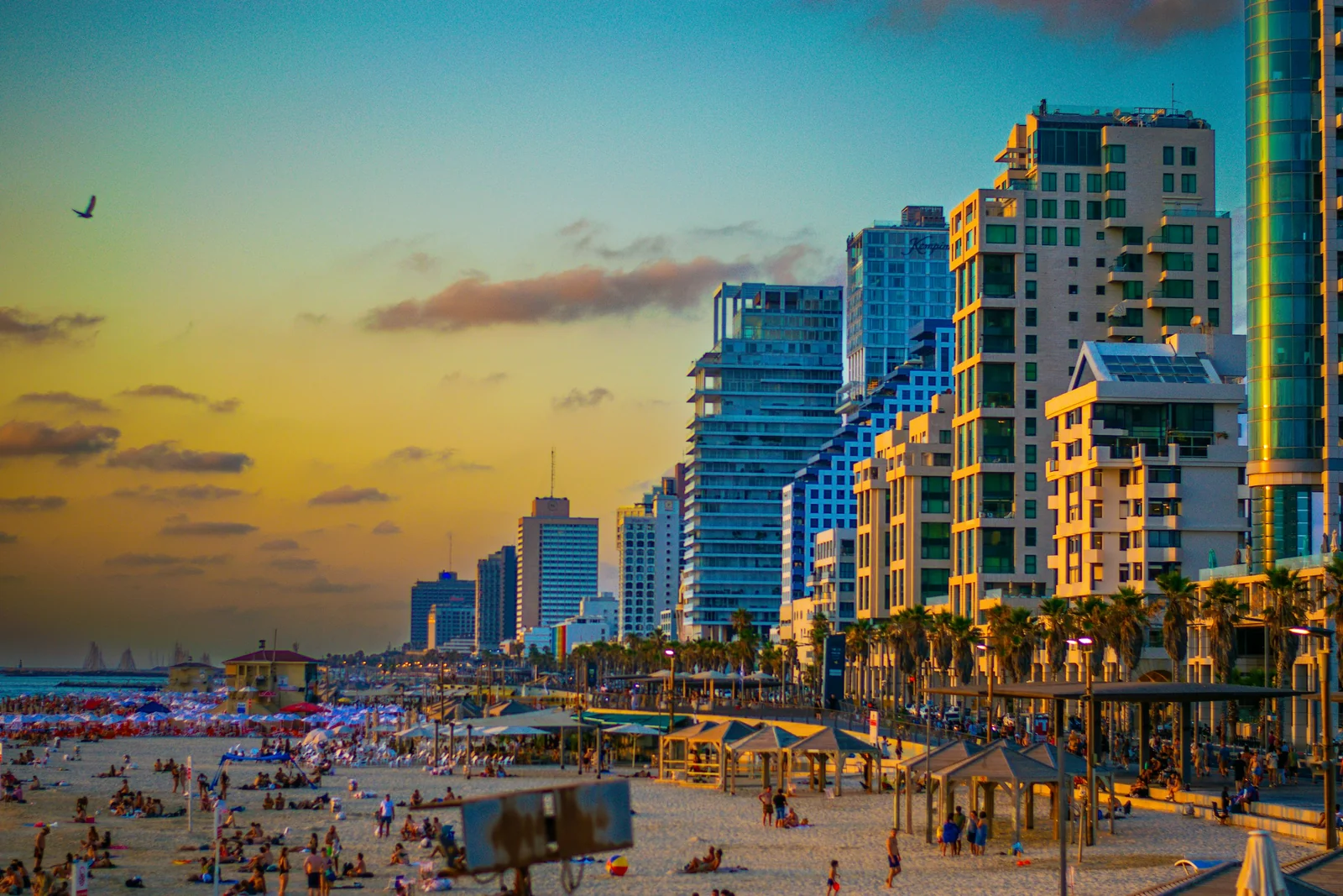 Tel Aviv’s sandy beachfront and contemporary glass towers in the warm evening light